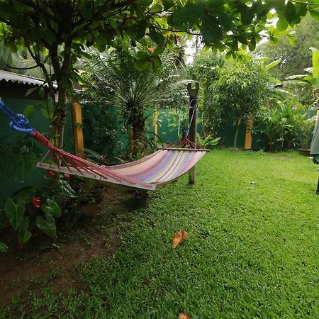 Отель Mary'S Palm Garden Хиккадува Экстерьер фото